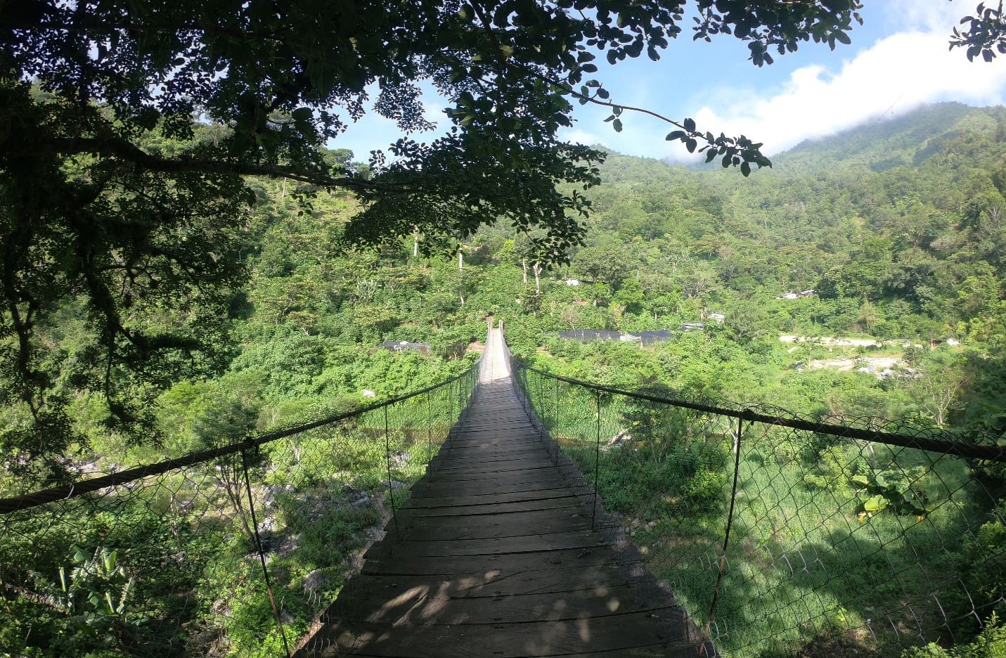 Mexico - Jaltenango - Organic